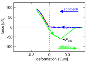 cell_mechanics_derganc2