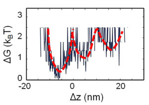 energy_landscape_pnas